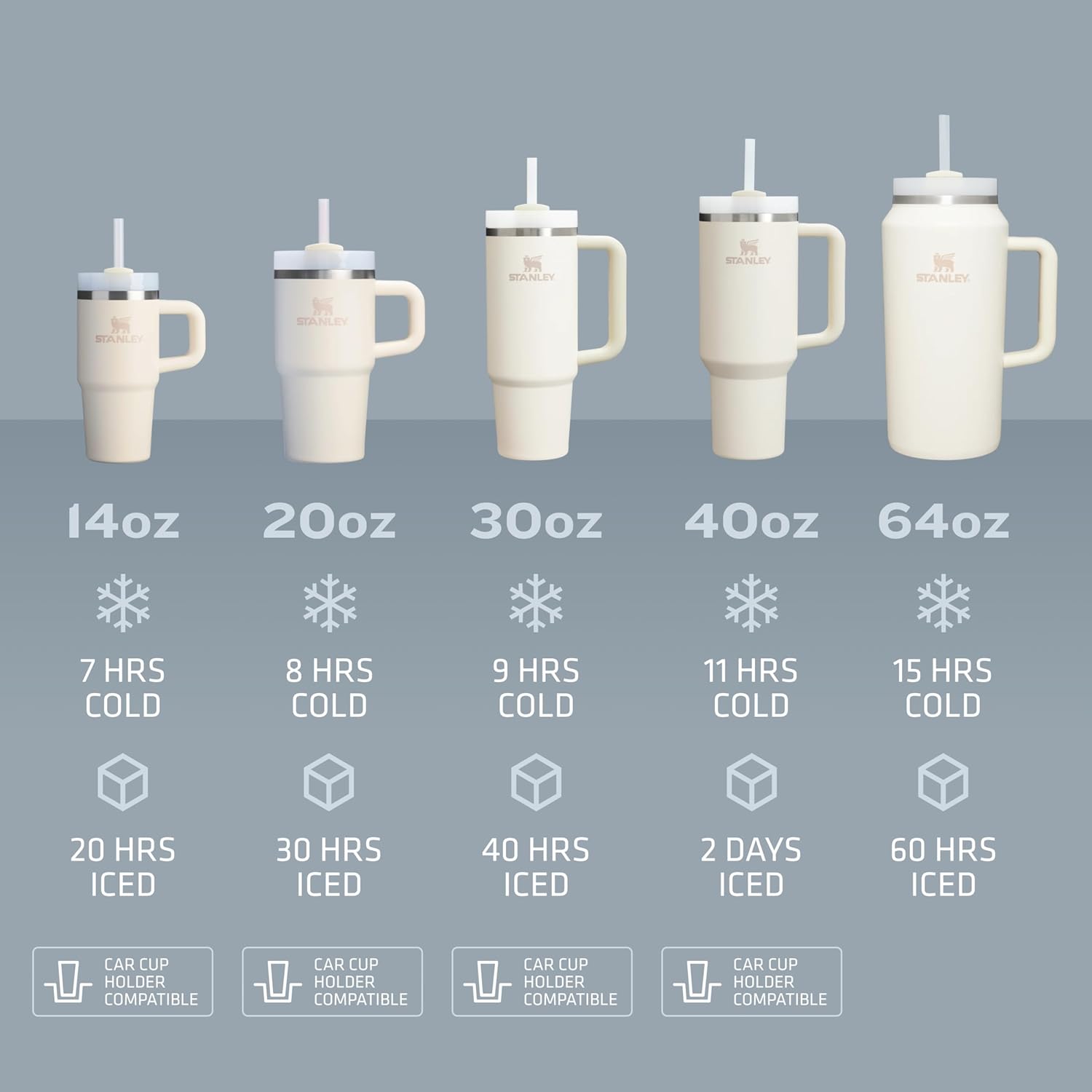 Stanley Quencher H2.0 Tumbler 